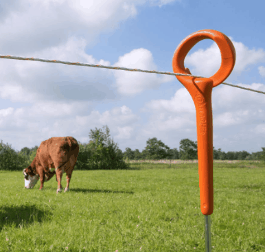 Ring Top post 10 pack