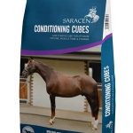 Saracen conditioning cubes