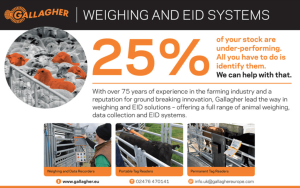 Weighing and EID equipment from Gallagher