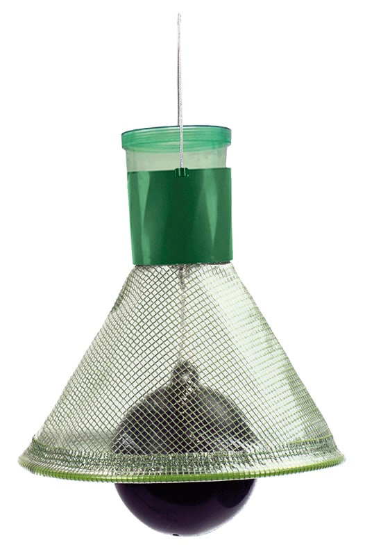 MT trap horse fly and wasp trap