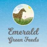 Emerald green feeds