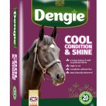 Dengie cool condition and shine